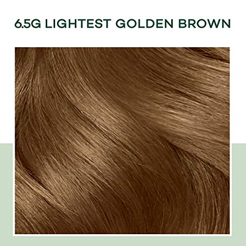 Clairol Doğal İçgüdüleri Yarı Kalıcı Saç Boyası, 6.5 G En Hafif Altın Kahverengi Saç Rengi, 3 Sayım