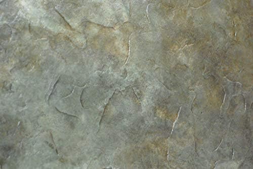 Walttools 3 x 3 ft Dikişsiz Beton Damga Tekstüre Cilt Tek Beton, Çimento, Kaplama (Colorado Kumtaşı)